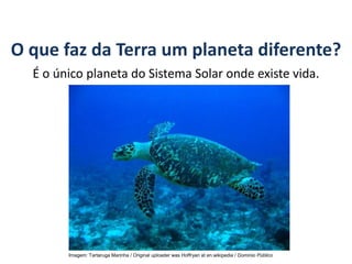 O que faz da Terra um planeta diferente?
É o único planeta do Sistema Solar onde existe vida.
GEOGRAFIA, 6º Ano
Planeta Terra: nave em que viajamos
Imagem: Tartaruga Marinha / Original uploader was Hoffryan at en.wikipedia / Domínio Público
do Ensino Fundamental
 