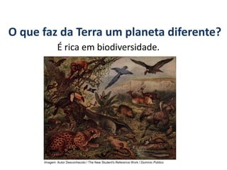 O que faz da Terra um planeta diferente?
É rica em biodiversidade.
GEOGRAFIA, 6º Ano
Planeta Terra: nave em que viajamos
Imagem: Autor Desconhecido / The New Student's Reference Work / Domínio Público
do Ensino Fundamental
 