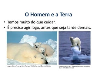 O Homem e a Terra
• Temos muito do que cuidar.
GEOGRAFIA, 6º Ano
Planeta Terra: nave em que viajamos
• É preciso agir logo, antes que seja tarde demais.
Imagem: Steve Amstrup / U.S. Fish and Wildlife Service / Domínio Público Imagem: Agrant141 / Creative Commons Attribution-
Share Alike 3.0 Unported
do Ensino Fundamental
 