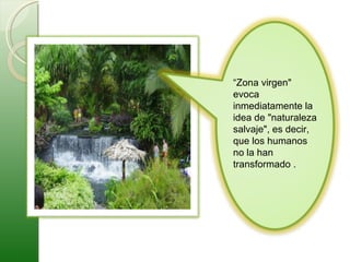 “ Zona virgen" evoca inmediatamente la idea de "naturaleza salvaje", es decir, que los humanos no la han transformado .  
