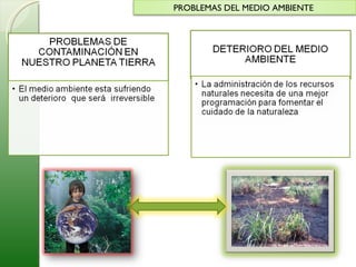 PROBLEMAS DEL MEDIO AMBIENTE  