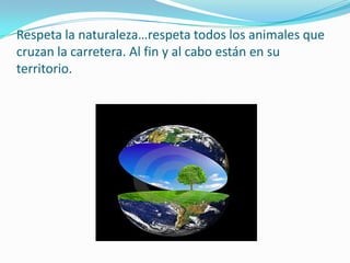 Respeta la naturaleza…respeta todos los animales que cruzan la carretera. Al fin y al cabo están en su territorio.  