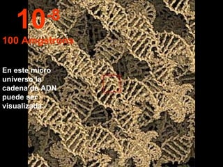 En este micro universo la cadena de ADN puede ser visualizada.  10 -8 100 Amgstrons 