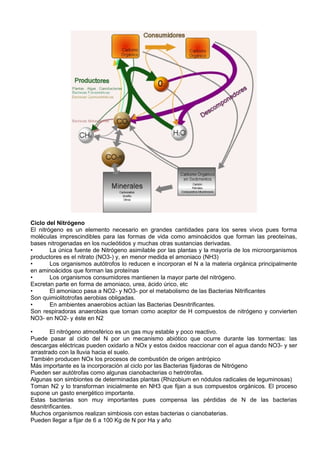 Ciclo del Nitrógeno
El nitrógeno es un elemento necesario en grandes cantidades para los seres vivos pues forma
moléculas imprescindibles para las formas de vida como aminoácidos que forman las preoteínas,
bases nitrogenadas en los nucleótidos y muchas otras sustancias derivadas.
•       La única fuente de Nitrógeno asimilable por las plantas y la mayoría de los microorganismos
productores es el nitrato (NO3-) y, en menor medida el amoniaco (NH3)
•       Los organismos autótrofos lo reducen e incorporan el N a la materia orgánica principalmente
en aminoácidos que forman las proteínas
•       Los organismos consumidores mantienen la mayor parte del nitrógeno.
Excretan parte en forma de amoniaco, urea, ácido úrico, etc
•       El amoniaco pasa a NO2- y NO3- por el metabolismo de las Bacterias Nitrificantes
Son quimiolitotrofas aerobias obligadas.
•       En ambientes anaerobios actúan las Bacterias Desnitrificantes.
Son respiradoras anaerobias que toman como aceptor de H compuestos de nitrógeno y convierten
NO3- en NO2- y éste en N2

•       El nitrógeno atmosférico es un gas muy estable y poco reactivo.
Puede pasar al ciclo del N por un mecanismo abiótico que ocurre durante las tormentas: las
descargas eléctricas pueden oxidarlo a NOx y estos óxidos reaccionar con el agua dando NO3- y ser
arrastrado con la lluvia hacia el suelo.
También producen NOx los procesos de combustión de origen antrópico
Más importante es la incorporación al ciclo por las Bacterias fijadoras de Nitrógeno
Pueden ser autótrofas como algunas cianobacterias o hetrótrofas.
Algunas son simbiontes de determinadas plantas (Rhizobium en nódulos radicales de leguminosas)
Toman N2 y lo transforman inicialmente en NH3 que fijan a sus compuestos orgánicos. El proceso
supone un gasto energético importante.
Estas bacterias son muy importantes pues compensa las pérdidas de N de las bacterias
desnitrificantes.
Muchos organismos realizan simbiosis con estas bacterias o cianobaterias.
Pueden llegar a fijar de 6 a 100 Kg de N por Ha y año
 