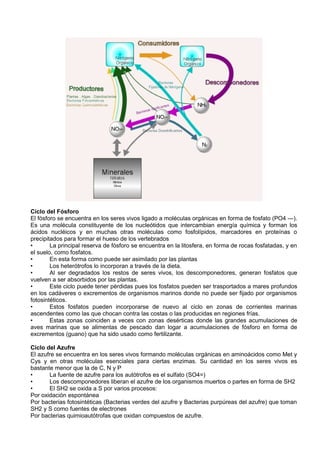 Ciclo del Fósforo
El fósforo se encuentra en los seres vivos ligado a moléculas orgánicas en forma de fosfato (PO4 ---).
Es una molécula constituyente de los nucleótidos que intercambian energía química y forman los
ácidos nucléicos y en muchas otras moléculas como fosfolípidos, marcadores en proteínas o
precipitados para formar el hueso de los vertebrados
•       La principal reserva de fósforo se encuentra en la litosfera, en forma de rocas fosfatadas, y en
el suelo, como fosfatos.
•       En esta forma como puede ser asimilado por las plantas
•       Los heterótrofos lo incorporan a través de la dieta.
•       Al ser degradados los restos de seres vivos, los descomponedores, generan fosfatos que
vuelven a ser absorbidos por las plantas.
•       Este ciclo puede tener pérdidas pues los fosfatos pueden ser trasportados a mares profundos
en los cadáveres o excrementos de organismos marinos donde no puede ser fijado por organismos
fotosintéticos.
•       Estos fosfatos pueden incorporarse de nuevo al ciclo en zonas de corrientes marinas
ascendentes como las que chocan contra las costas o las producidas en regiones frías.
•       Estas zonas coinciden a veces con zonas desérticas donde las grandes acumulaciones de
aves marinas que se alimentas de pescado dan logar a acumulaciones de fósforo en forma de
excrementos (guano) que ha sido usado como fertilizante.

Ciclo del Azufre
El azufre se encuentra en los seres vivos formando moléculas orgánicas en aminoácidos como Met y
Cys y en otras moléculas esenciales para ciertas enzimas. Su cantidad en los seres vivos es
bastante menor que la de C, N y P
•      La fuente de azufre para los autótrofos es el sulfato (SO4=)
•      Los descomponedores liberan el azufre de los organismos muertos o partes en forma de SH2
•      El SH2 se oxida a S por varios procesos:
Por oxidación espontánea
Por bacterias fotosintéticas (Bacterias verdes del azufre y Bacterias purpúreas del azufre) que toman
SH2 y S como fuentes de electrones
Por bacterias quimioautótrofas que oxidan compuestos de azufre.
 