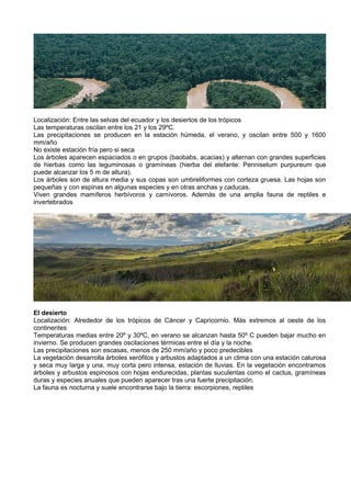 Localización: Entre las selvas del ecuador y los desiertos de los trópicos
Las temperaturas oscilan entre los 21 y los 29ºC.
Las precipitaciones se producen en la estación húmeda, el verano, y oscilan entre 500 y 1600
mm/año
No existe estación fría pero si seca
Los árboles aparecen espaciados o en grupos (baobabs, acacias) y alternan con grandes superficies
de hierbas como las leguminosas o gramíneas (hierba del elefante: Pennisetum purpureum que
puede alcanzar los 5 m de altura).
Los árboles son de altura media y sus copas son umbreliformes con corteza gruesa. Las hojas son
pequeñas y con espinas en algunas especies y en otras anchas y caducas.
Viven grandes mamíferos herbívoros y carnívoros. Además de una amplia fauna de reptiles e
invertebrados




El desierto
Localización: Alrededor de los trópicos de Cáncer y Capricornio. Más extremos al oeste de los
continentes
Temperaturas medias entre 20º y 30ºC, en verano se alcanzan hasta 50º C pueden bajar mucho en
invierno. Se producen grandes oscilaciones térmicas entre el día y la noche.
Las precipitaciones son escasas, menos de 250 mm/año y poco predecibles
La vegetación desarrolla árboles xerófitos y arbustos adaptados a un clima con una estación calurosa
y seca muy larga y una, muy corta pero intensa, estación de lluvias. En la vegetación encontramos
árboles y arbustos espinosos con hojas endurecidas, plantas suculentas como el cactus, gramíneas
duras y especies anuales que pueden aparecer tras una fuerte precipitación.
La fauna es nocturna y suele encontrarse bajo la tierra: escorpiones, reptiles
 