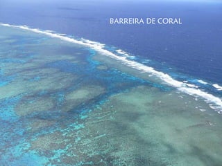 BARREIRA DE CORAL
 