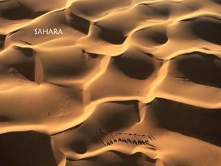 SAHARA
 
