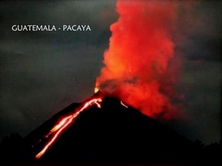 GUATEMALA - PACAYA
 