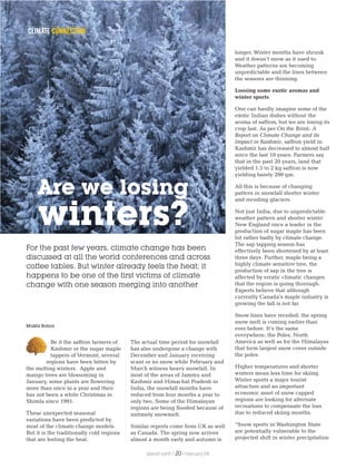 Be it the saffron farmers of
Kashmir or the sugar maple
tappers of Vermont, several
regions have been bitten by
the melting winters. Apple and
mango trees are blossoming in
January, some plants are flowering
more than once in a year and their
has not been a white Christmas in
Shimla since 1991.
These unexpected seasonal
variations have been predicted by
most of the climate change models.
But it is the traditionally cold regions
that are feeling the heat.
The actual time period for snowfall
has also undergone a change with
December and January receiving
scant or no snow while February and
March witness heavy snowfall. In
most of the areas of Jammu and
Kashmir and Himachal Pradesh in
India, the snowfall months have
reduced from four months a year to
only two. Some of the Himalayan
regions are being flooded because of
untimely snowmelt.
Similar reports come from UK as well
as Canada. The spring now arrives
almost a month early and autumn is
longer. Winter months have shrunk
and it doesn’t snow as it used to.
Weather patterns are becoming
unpredictable and the lines between
the seasons are thinning.
Loosing some exotic aromas and
winter sports
One can hardly imagine some of the
exotic Indian dishes without the
aroma of saffron, but we are losing its
crop fast. As per On the Brink: A
Report on Climate Change and its
Impact in Kashmir, saffron yield in
Kashmir has decreased to almost half
since the last 10 years. Farmers say
that in the past 20 years, land that
yielded 1.5 to 2 kg saffron is now
yielding barely 200 gm.
All this is because of changing
pattern in snowfall shorter winter
and receding glaciers.
Not just India, due to unpredictable
weather pattern and shorter winter
New England once a leader in the
production of sugar maple has been
hit rather badly by climate change.
The sap tapping season has
effectively been shortened by at least
three days. Further, maple being a
highly climate sensitive tree, the
production of sap in the tree is
affected by erratic climatic changes
that the region is going thorough.
Experts believe that although
currently Canada’s maple industry is
growing the fall is not far.
Snow lines have receded; the spring
snow melt is coming earlier than
ever before. It’s the same
everywhere, the Poles, North
America as well as for the Himalayas
that form largest snow cover outside
the poles.
Higher temperatures and shorter
winters mean less time for skiing.
Winter sports a major tourist
attraction and an important
economic asset of snow capped
regions are looking for alternate
recreations to compensate the loss
due to reduced skiing months.
“Snow sports in Washington State
are potentially vulnerable to the
projected shift in winter precipitation
Are we losing
winters?
CLIMATE CONNECTION
For the past few years, climate change has been
discussed at all the world conferences and across
coffee tables. But winter already feels the heat; it
happens to be one of the first victims of climate
change with one season merging into another
Mukta Rohra
planet earth | | February 0920
 