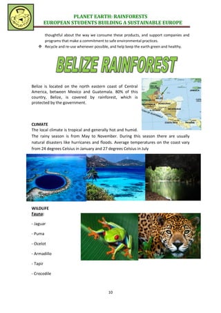 PLANET EARTH: RAINFORESTS
          EUROPEAN STUDENTS BUILDING A SUSTAINABLE EUROPE

      thoughtful about the way we consume these products, and support companies and
      programs that make a commitment to safe environmental practices.
     Recycle and re-use whenever possible, and help keep the earth green and healthy.




Belize is located on the north eastern coast of Central
America, between Mexico and Guatemala. 80% of this
country, Belize, is covered by rainforest, which is
protected by the government.



CLIMATE
The local climate is tropical and generally hot and humid.
The rainy season is from May to November. During this season there are usually
natural disasters like hurricanes and floods. Average temperatures on the coast vary
from 24 degrees Celsius in January and 27 degrees Celsius in July




WILDLIFE
Fauna:

- Jaguar

- Puma

- Ocelot

- Armadillo

- Tapir

- Crocodile



                                          10
 