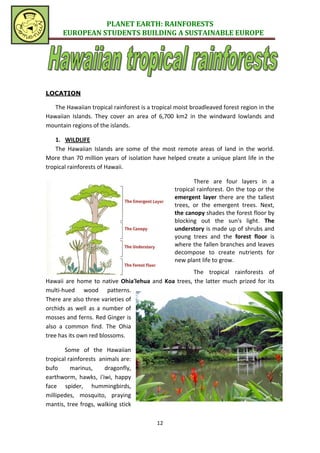 PLANET EARTH: RAINFORESTS
      EUROPEAN STUDENTS BUILDING A SUSTAINABLE EUROPE




LOCATION

   The Hawaiian tropical rainforest is a tropical moist broadleaved forest region in the
Hawaiian Islands. They cover an area of 6,700 km2 in the windward lowlands and
mountain regions of the islands.

    1. WILDLIFE
    The Hawaiian Islands are some of the most remote areas of land in the world.
More than 70 million years of isolation have helped create a unique plant life in the
tropical rainforests of Hawaii.

                                                        There are four layers in a
                                                 tropical rainforest. On the top or the
                                                 emergent layer there are the tallest
                                                 trees, or the emergent trees. Next,
                                                 the canopy shades the forest floor by
                                                 blocking out the sun's light. The
                                                 understory is made up of shrubs and
                                                 young trees and the forest floor is
                                                 where the fallen branches and leaves
                                                 decompose to create nutrients for
                                                 new plant life to grow.
                                                    The tropical rainforests of
Hawaii are home to native Ohia'lehua and Koa trees, the latter much prized for its
multi-hued wood patterns.
There are also three varieties of
orchids as well as a number of
mosses and ferns. Red Ginger is
also a common find. The Ohia
tree has its own red blossoms.

       Some of the Hawaiian
tropical rainforests animals are:
bufo      marinus,     dragonfly,
earthworm, hawks, i'iwi, happy
face spider, hummingbirds,
millipedes, mosquito, praying
mantis, tree frogs, walking stick

                                          12
 