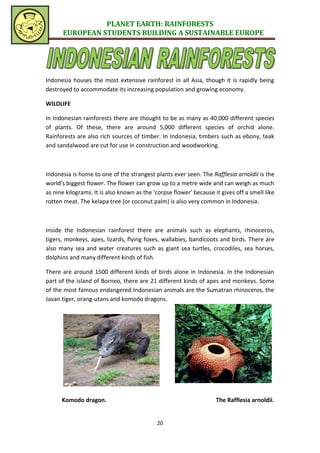 PLANET EARTH: RAINFORESTS
      EUROPEAN STUDENTS BUILDING A SUSTAINABLE EUROPE




Indonesia houses the most extensive rainforest in all Asia, though it is rapidly being
destroyed to accommodate its increasing population and growing economy.

WILDLIFE

In Indonesian rainforests there are thought to be as many as 40,000 different species
of plants. Of these, there are around 5,000 different species of orchid alone.
Rainforests are also rich sources of timber. In Indonesia, timbers such as ebony, teak
and sandalwood are cut for use in construction and woodworking.



Indonesia is home to one of the strangest plants ever seen. The Rafflesia arnoldii is the
world's biggest flower. The flower can grow up to a metre wide and can weigh as much
as nine kilograms. It is also known as the 'corpse flower' because it gives off a smell like
rotten meat. The kelapa tree (or coconut palm) is also very common in Indonesia.



Inside the Indonesian rainforest there are animals such as elephants, rhinoceros,
tigers, monkeys, apes, lizards, flying foxes, wallabies, bandicoots and birds. There are
also many sea and water creatures such as giant sea turtles, crocodiles, sea horses,
dolphins and many different kinds of fish.

There are around 1500 different kinds of birds alone in Indonesia. In the Indonesian
part of the island of Borneo, there are 21 different kinds of apes and monkeys. Some
of the most famous endangered Indonesian animals are the Sumatran rhinoceros, the
Javan tiger, orang-utans and komodo dragons.




      Komodo dragon.                                                The Rafflesia arnoldii.


                                            20
 