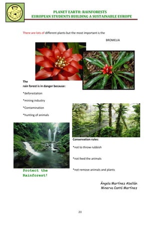 PLANET EARTH: RAINFORESTS
      EUROPEAN STUDENTS BUILDING A SUSTAINABLE EUROPE



There are lots of different plants but the most important is the

                                                                   BROMELIA




The
rain forest is in danger because:

*deforestation

*mining industry

*Contamination

*hunting of animals




                                      Conservation rules:

                                      *not to throw rubbish


                                      *not feed the animals


Protect the                           *not remove animals and plants
Rainforest!

                                                            Ángela Martínez Abellán
                                                            Minerva Cantó Martínez




                                           23
 