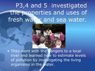 P3,4 and 5  investigated the properties and uses of fresh water and sea water. They went with the Rangers to a local river and learned how to estimate levels of pollution by investigating the living organisms in the water. 