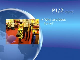 P1/2 …… Why are bees furry? 