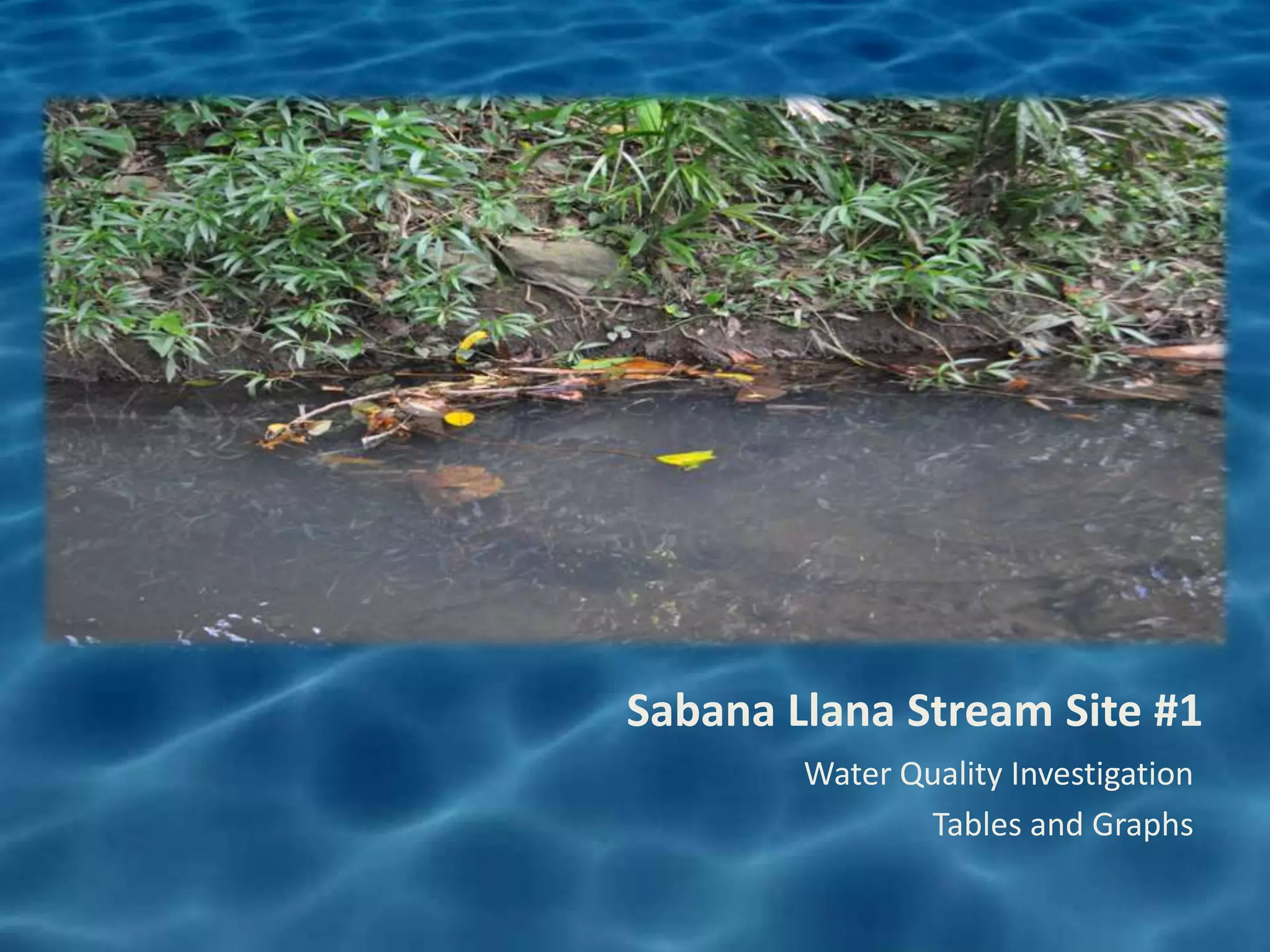 Sabana Llana Stream Site #1
        Water Quality Investigation
               Tables and Graphs
 