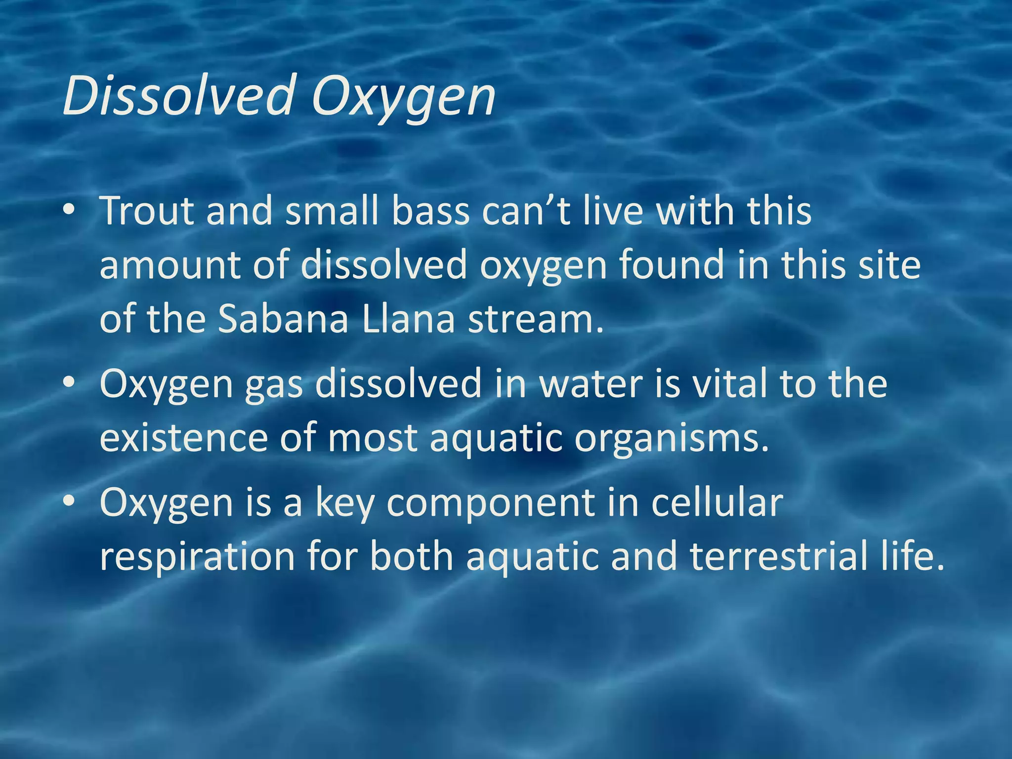 Dissolved Oxygen
• Trout and small bass can’t live with this
  amount of dissolved oxygen found in this site
  of the Sabana Llana stream.
• Oxygen gas dissolved in water is vital to the
  existence of most aquatic organisms.
• Oxygen is a key component in cellular
  respiration for both aquatic and terrestrial life.
 