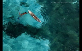 Diver off the Lighthouse Reef Atoll. Belize © Yann Arthus-Bertrand
 