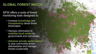 GFW Office Hours: How to Use Planet Imagery on Global Forest Watch_June ...