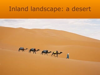 Inland landscape: a desert
 