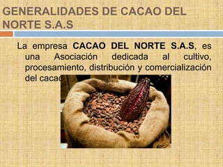 GENERALIDADES DE CACAO DEL
NORTE S.A.S
  La empresa CACAO DEL NORTE S.A.S, es
    una    Asociación     dedicada   al    cultivo,
    procesamiento, distribución y comercialización
    del cacao.
 