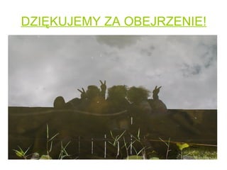 DZIĘKUJEMY ZA OBEJRZENIE!
 