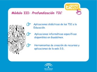 Aplicaciones didácticas de las TIC a la Educación. Módulo III:  Profundización TIC Aplicaciones informáticas específicas disponibles en Guadalinex. Herramientas de creación de recursos y aplicaciones de la web 2.0.. 