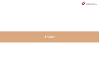 Anexos
 