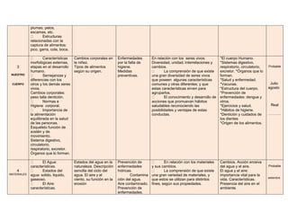 plumas, pelos,
escamas, etc.
Estructuras
relacionadas con la
captura de alimentos:
pico, garra, cola, boca.
3
NUESTRO
CUERPO
Características
morfológicas externas,
etapas en el desarrollo
humano.
Semejanzas y
diferencias con los
otros y los demás seres
vivos.
Cambios corporales:
peso talla dentición.
Normas e
Higiene corporal.
Importancia de
la alimentación
equilibrada en la salud
de las personas.
Esqueleto función de
sostén y de
movimiento.
Sistema digestivo,
circulatorio,
respiratorio, excretor.
Órganos que lo forman.
Cambios corporales en
la niñez.
Tipos de alimentos
según su origen.
Enfermedades
por la falta de
higiene.
Medidas
preventivas.
En relación con los seres vivos:
Diversidad, unidad, interrelaciones y
cambios.
La comprensión de que existe
una gran diversidad de seres vivos
que poseen algunas características
comunes y otras diferentes; y que
estas características sirven para
agruparlos.
El conocimiento y desarrollo de
acciones que promuevan hábitos
saludables reconociendo las
posibilidades y ventajas de estas
conductas.
*El cuerpo Humano.
*Sistemas digestivo,
respiratorio, circulatorio,
excretor. *Órganos que lo
forman.
*Salud y enfermedad.
*Vacunas.
*Estructura del cuerpo.
*Prevención de
enfermedades: dengue y
otros.
*Ejercicios y salud.
*Hábitos de higiene.
*Dentición y cuidados de
los dientes
*Origen de los alimentos.
Probable
Julio
agosto
Real
……….
4
MATERIALES
El Agua:
características.
Estados del
agua: solido, liquido,
gaseoso.
El Aire:
características.
Estados del agua en la
naturaleza. Descripción
sencilla del ciclo del
agua. El aire y el
viento, su función en la
erosión
Prevención de
enfermedades
hídricas.
Contamina
ción del agua.
Aire contaminado.
Prevención de
enfermedades.
En relación con los materiales
y sus cambios.
La comprensión de que existe
una gran variedad de materiales, y
que estos se utilizan para distintos
fines, según sus propiedades.
Cambios. Acción erosiva
del agua y el aire.
El agua y el aire:
importancia vital para la
vida. Características.
Presencia del aire en el
ambiente.
Probable
setiembre
 