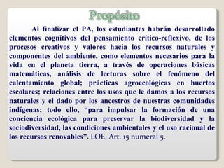 Al finalizar el PA, los estudiantes habrán desarrollado elementos cognitivos del pensamiento crítico-reflexivo, de los procesos creativos y valores hacia los recursos naturales y componentes del ambiente, como elementos necesarios para la vida en el planeta tierra, a través de operaciones básicas matemáticas, análisis de lecturas sobre el fenómeno del calentamiento global; prácticas agroecológicas en huertos escolares; relaciones entre los usos que le damos a los recursos naturales y el dado por los ancestros de nuestras comunidades indígenas; todo ello, “para impulsar la formación de una conciencia ecológica para preservar la biodiversidad y la sociodiversidad, las condiciones ambientales y el uso racional de los recursos renovables”.  LOE, Art. 15 numeral 5. 