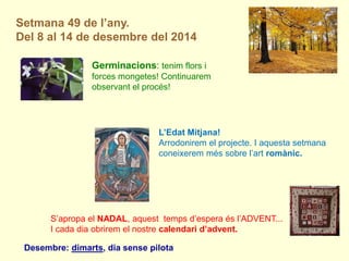 Setmana 49 de l’any. Del 8 al 14 de desembre del 2014 
Desembre: dimarts, dia sense pilota 
Germinacions: tenim flors i forces mongetes! Continuarem observant el procés! 
S’apropa el NADAL, aquest temps d’espera és l’ADVENT... 
I cada dia obrirem el nostre calendari d’advent. 
L’Edat Mitjana! 
Arrodonirem el projecte. I aquesta setmana coneixerem més sobre l’art romànic.  