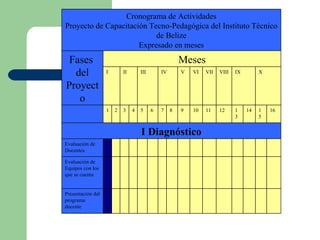 Presentación del programa docente Evaluación de Equipos con los que se cuenta Evaluación de Docentes I Diagnóstico 16 15 14 13 12 11 10 9 8 7 6 5 4 3 2 1 X IX VIII VII VI V IV III II I Meses Fases  del Proyecto Cronograma de Actividades Proyecto de Capacitación Tecno-Pedagógica del Instituto Técnico de Belize Expresado en meses 