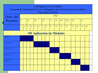     Módulo V   Módulo IV   Módulo III   Módulo II   Módulo I   III Aplicación de Módulos 16 15 14 13 12 11 10 9 8 7 6 5 4 3 2 1 X IX VIII VII VI V IV III II I Meses Fases  del Proyecto Cronograma de Actividades Proyecto de Capacitación Tecno-.Pedagógica del Instituto Técnico de Belize Expresado en meses 