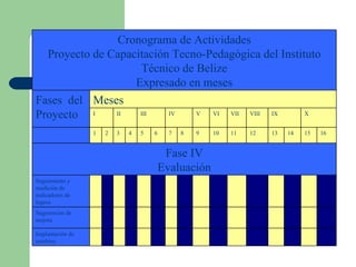                                Implantación de cambios                                 Sugerencias de mejora                                 Seguimiento y medición de indicadores de  logros Fase IV Evaluación 16 15 14 13 12 11 10 9 8 7 6 5 4 3 2 1   X IX VIII VII VI V IV III II I Meses Fases  del Proyecto Cronograma de Actividades Proyecto de Capacitación Tecno-Pedagógica del Instituto Técnico de Belize Expresado en meses 