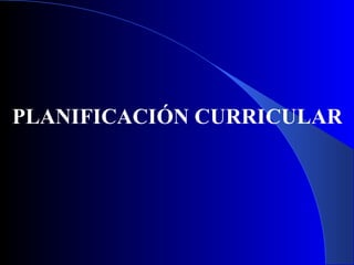 PLANIFICACIÓN CURRICULAR 