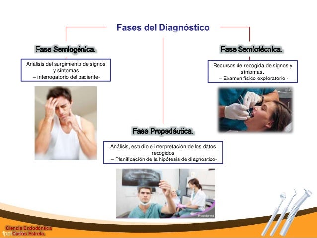 Endodoncia Carlos Estrela Pdf Endodoncia Carlos Estrela Pdf
