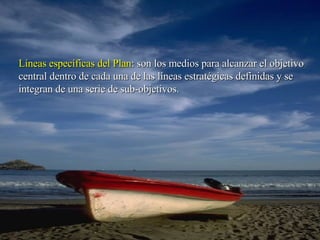Líneas específicas del Plan : son los medios para alcanzar el objetivo central dentro de cada una de las líneas estratégicas definidas y se integran de una serie de sub-objetivos.  