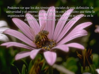 Podemos ver que los dos términos esenciales de esta definición -la  universidad  y el entorno- tienen relación con la «visión» que tiene la organización para sí misma, lo cual muchas veces se expresa en la declaración de misión de la  universidad . 