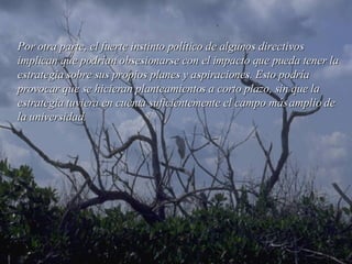 Por otra parte, el fuerte instinto político de algunos directivos implican que podrían obsesionarse con el impacto que pueda tener la estrategia sobre sus propios planes y aspiraciones. Esto podría provocar que se hicieran planteamientos a corto plazo, sin que la estrategia tuviera en cuenta suficientemente el campo más amplio de la  universidad . 