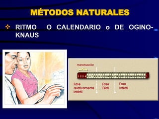 MÉTODOS NATURALES RITMO  O CALENDARIO o DE OGINO-KNAUS   