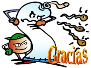 Gracias 