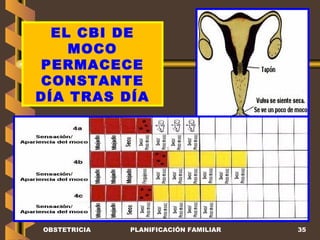 OBSTETRICIA PLANIFICACIÓN FAMILIAR EL CBI DE MOCO PERMACECE CONSTANTE DÍA TRAS DÍA 