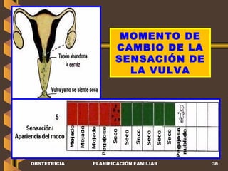 OBSTETRICIA PLANIFICACIÓN FAMILIAR MOMENTO DE CAMBIO DE LA SENSACIÓN DE LA VULVA 