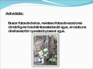 Actividades :  Buscar fotos de diarios , revistas o fotos de vacaciones donde figuren los distintos estados del agua , en cada una de ellas escribir que estado posee el agua . 
