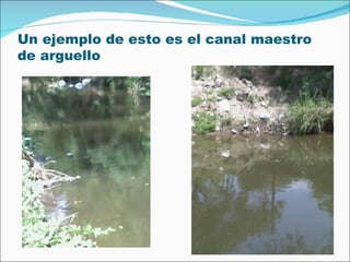 Un ejemplo de esto es el canal maestro de arguello  