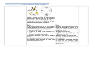 Primer Ciclo Módulo Ciencia Naturales.   Postítulo 2011 -I




          Dibujan y registran los ciclos de vida proyectados
          anteriormente y observan otros ciclos de vida que se
          encuentran en su texto de estudio (pág. 27 y 28)
          Escogen el ciclo de vida del animal que más les haya
          agradado y luego lo dibujan en su cuaderno.

          Cierre:                                                  Cierre:
          Se les solicita a los educando que de forma oral sean    La docente les solicita a los educandos que
          capaces de redactar una síntesis de lo aprendido en la   realicen de forma oral una síntesis de lo
          clase, debiendo considerar los siguientes puntos;        aprendido en la clase, debiendo considerar
             ¿Qué es un ciclo de vida?                             los siguientes puntos;
             ¿Cuáles son las etapas que se presentan en un             ¿Qué es un ciclo de vida?
             ciclo?                                                    ¿Cuáles son las etapas que se
             Nombrar al menos dos ciclos de vidas                      presentan en un ciclo?
          Se escoge un educando al azar para que relate su             Nombrar al menos dos ciclos de vidas
          síntesis                                                 Se escoge un educando al azar para que
          En un paleógrafo confeccionan una nube de ideas con      relate su síntesis
          los conceptos claves estudiados en clase, cada           En un paleógrafo confeccionan una nube
          educando debe aportar con uno.                           de ideas con los conceptos claves
                                                                   estudiados en clase, cada educando debe
                                                                   aportar con uno.
 