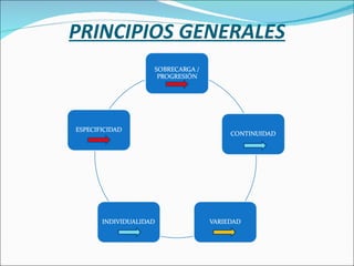 PRINCIPIOS GENERALES 