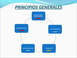 PRINCIPIOS GENERALES

 