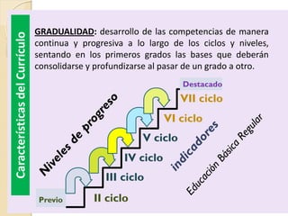GRADUALIDAD: desarrollo de las competencias de manera
continua y progresiva a lo largo de los ciclos y niveles,
sentando e...